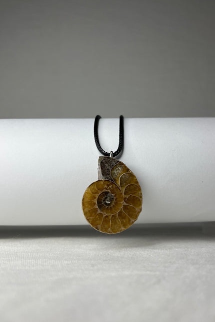Ammoniet ketting