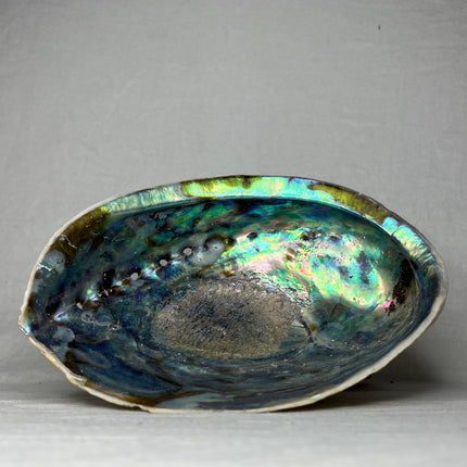 Collection image for: Reiniging