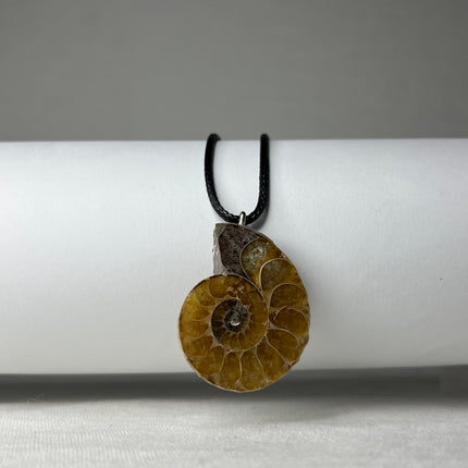 Collection image for: Sieraden