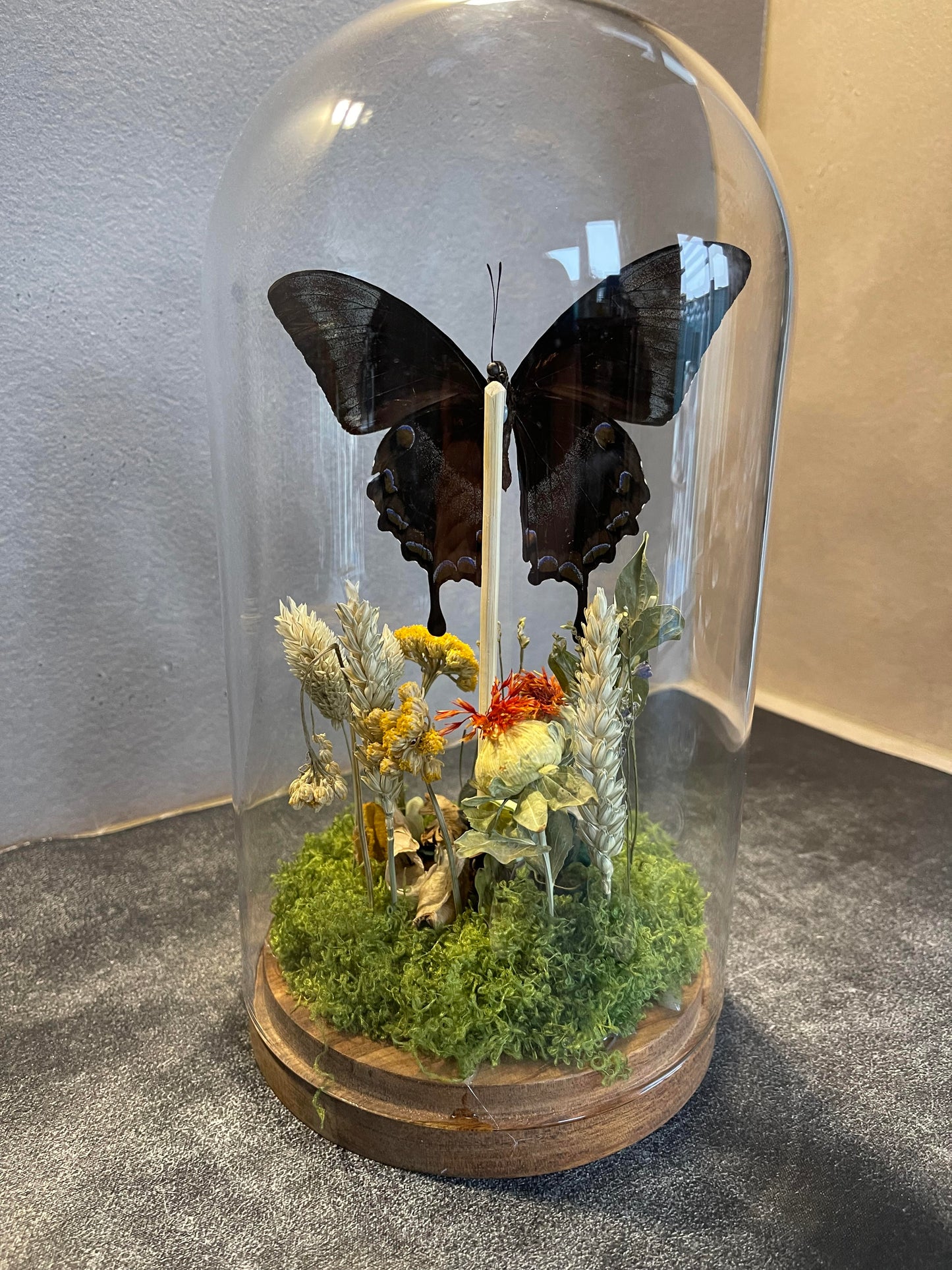 vlinderstolp met droogbloemen